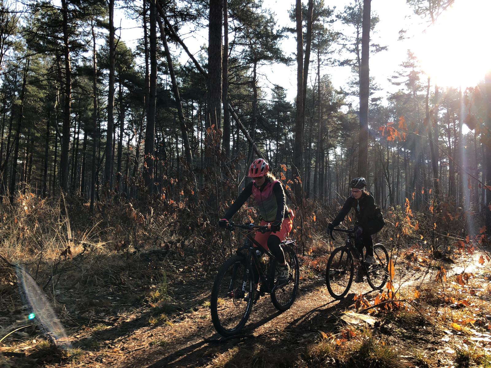 WhatsApp Image 2019 01 20 at 21.26.08